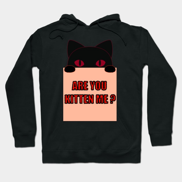 Are you kitten me funny cat saying Hoodie by Donut lover